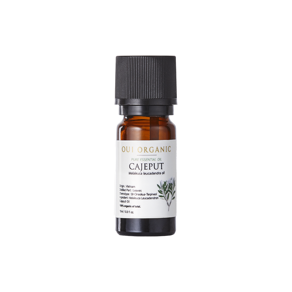 Cajeput Pure Essential Oil 10mL**